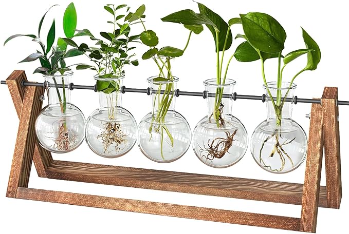CFMOUR Plant Terrarium with Wooden Stand, Desktop
